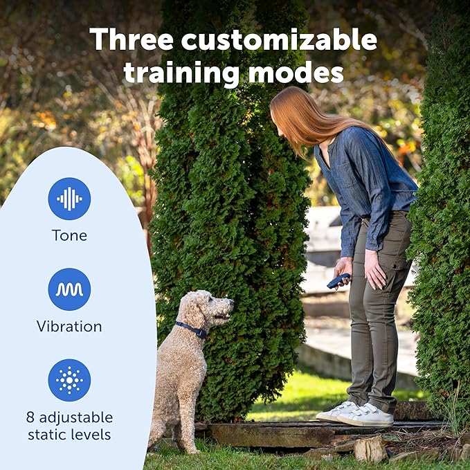 PetSafe Basic Dog Trainer with Remote - Effective Dog Training - 15 Levels of Static Correction - Waterproof Collar - Rechargeable Training Collar - Compact Remote Transmitter