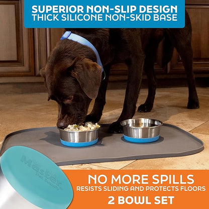 Master Pet Supply Stainless Steel Dog Bowls Set of 2 with Extra Thick Silicone Base - 2 Cup (16 oz) Aqua Sky, Non-Slip, Dishwasher Safe Metal Bowls, Pet Dog Food Bowl for Dogs, Cats, Anti Rust