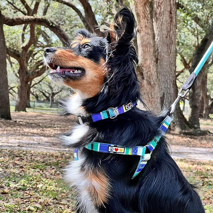 Pawtitas Multicolor Step-in Dog Harness – Adjustable No-Pull Vest for Puppies to Seniors, Safe & Comfortable XS Grey/Blue/Green