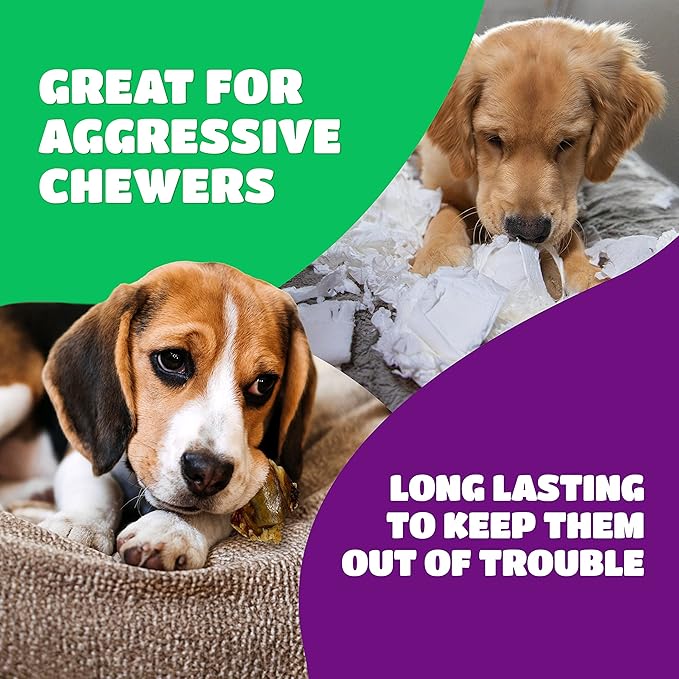 Lively Tails Dog Bones for Aggressive Chewers, Knee Caps for Dogs, Beef Bones for Large Dogs, Medium, and Small, Long Lasting Knee Bone for Dog, 10 Count
