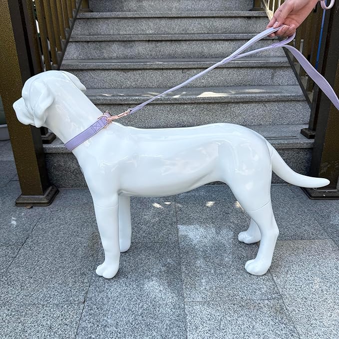 Dog Leash 6ft Long,Traffic Padded Two Handle,Heavy Duty,Double Handles Lead for Control Safety Training,Leashes for Large Dogs or Medium Dogs,Dual Handles Leads (Purple, 25MM*6FT)