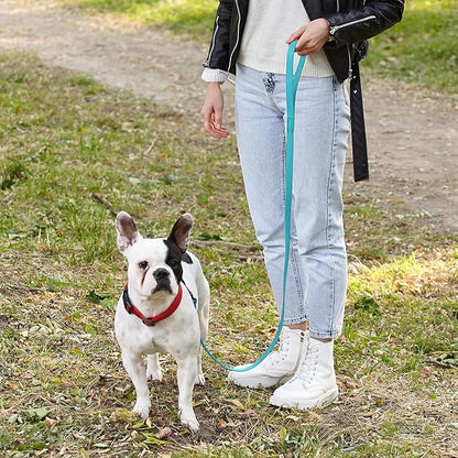 Dogline Biothane Waterproof Dog Leash Strong Coated Nylon Webbing with Black Hardware Odor-Proof Easy to Clean High Performance for Small or Large Dogs Made in USA 4 or 6 ft Lead, Sky Blue