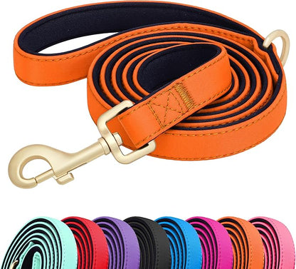 Didog 5FT Colorful Nylon Dog Leash with Soft Full-Length Padding, Lightweight and Durable Pet Leash for Small Dogs, Orange, S