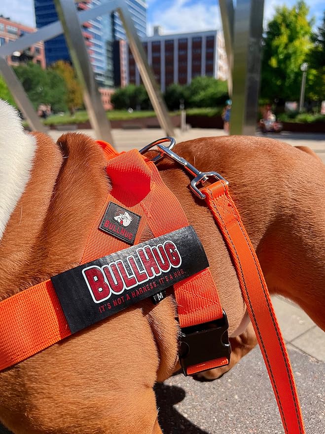 BULLHUG Adjustable Dog Harness– No Pull, No Choke – for English Bulldogs, French Bulldogs, Pugs & Broad-Chested Breeds – Easy, Safe Walks (NEON Orange, XL)