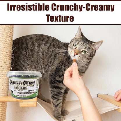Fieldcrest Farms Nothin’ to Hide Collagen Cat Treats – Crunchy & Creamy Cat Snacks, High-Protein Healthy Treats for Skin, Coat & Joint Support, Catnip Flavor, 8 oz. Resealable Tub