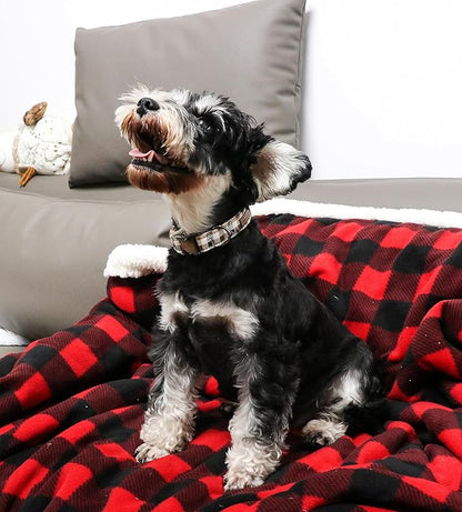 Unique style paws Dog Collar Metal Buckle Gift for Small Medium Large Boys Girls Dogs, brown plaid, XS