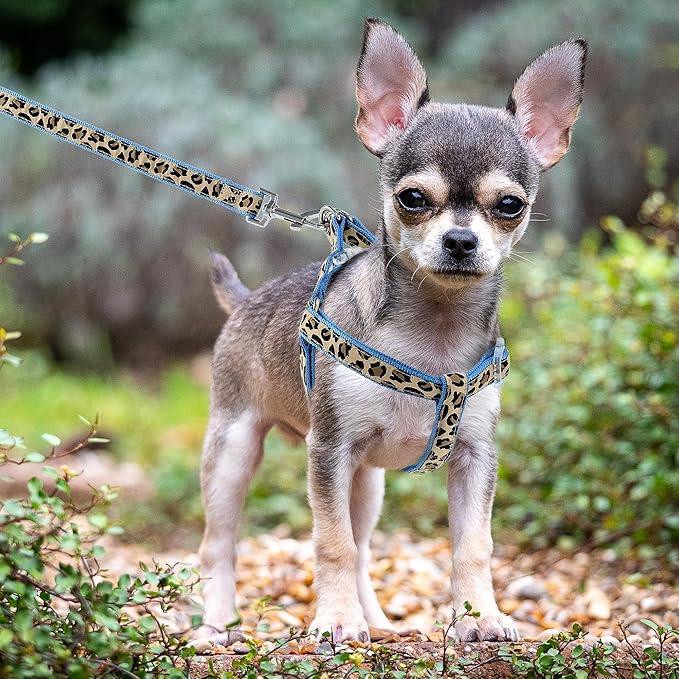 Mile High Life Leopard Dog Harness Collar Leash Set, Adjustable No Pull Dog Halter Harness for Small Breed Dogs, Easy Control for Training Walking (Blue, S Chest 11"-18", Neck 10"-14")