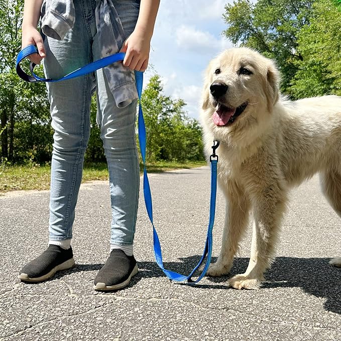 Joytale Dog Leash Heavy Duty for Large Dogs That Pull, Double Handle for Traffic Control, Double-Sided Reflective Leashes for Large Medium Dogs Night Safety, 5FT, Royal Blue