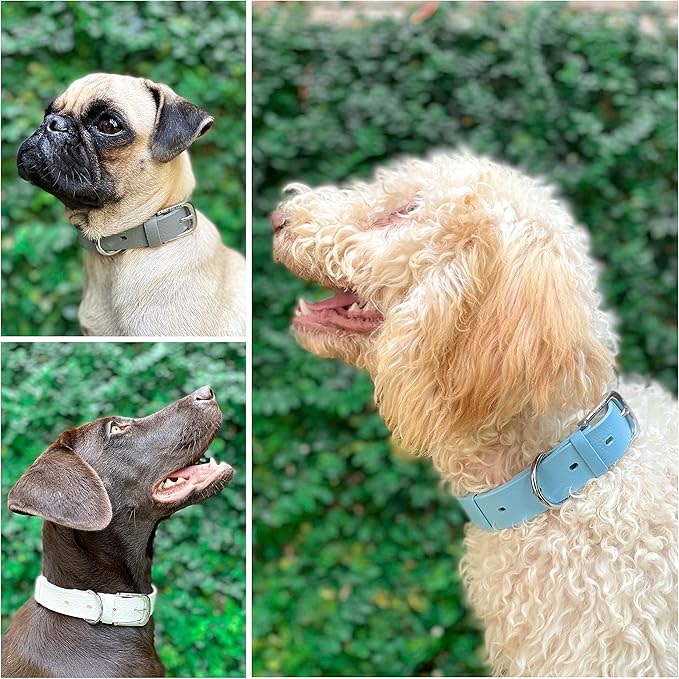 Tuff Pupper Classic Heavy Duty Dog Collar | 10x Stronger Than Leather | 100% Waterproof & Odor Proof Dog Collar | Tough Rust-Proof All Metal Hardware Small (12-15" Neck)