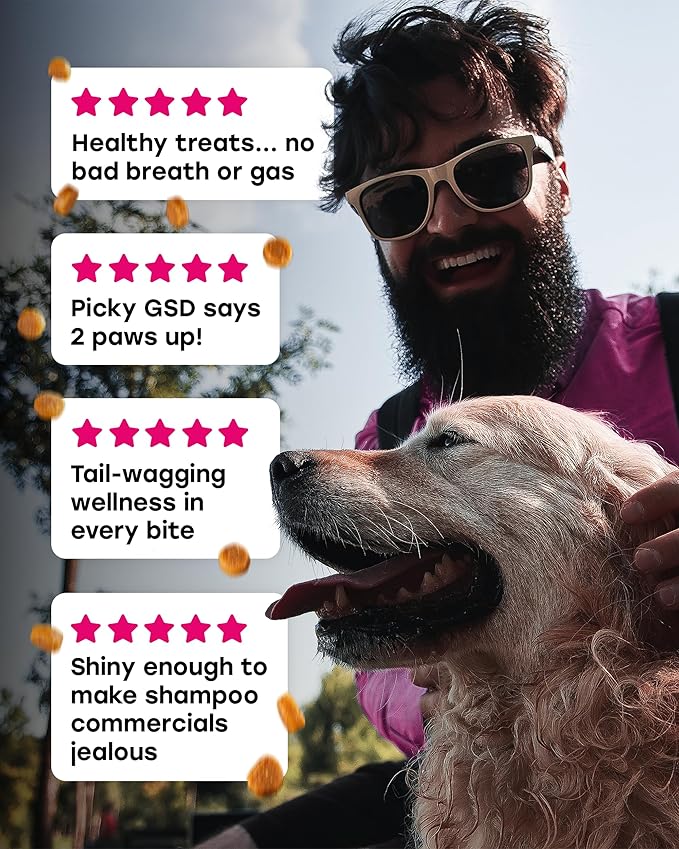 24-in-1 Complete Daily Multivitamin Dog Chews – Bacon Flavor – All-in-One PhD-Endorsed Support for Joints, Skin & Coat, Digestion, Immunity, Gut Health, Glucosamine, Omega-3, Probiotics - 140 Chews