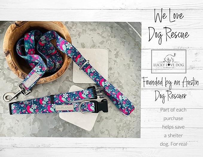 Lucky Love Dog - Adjustable Collar and Leash Set with Easy Click Buckle for Small Dogs, Durable, & Comfortable Collar for Male & Female Dogs, Puppies & Adult - CarrieBelle Combo, XS