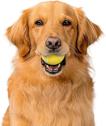 Playology Dog Toys | Rainbow of Scent Chew Toy Gift Box - Squeaky Chew Balls for Dogs | Peanut Butter, Chicken, & Beef Scented Toys - Easy to Clean and Made from Non Toxic Materials