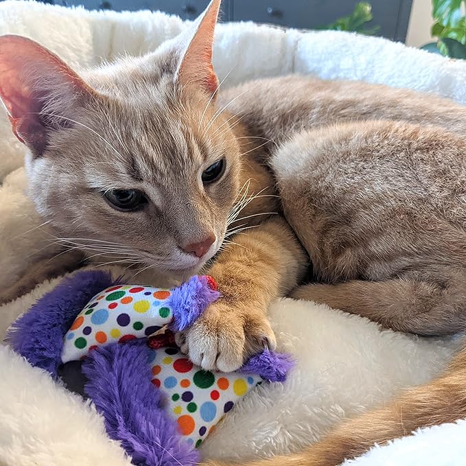 Huxley & Kent Plush Cat Toy | Party Hats | Birthday Strong Catnip Filled Cat Toy | Plush Interactive Kitten and Cats Toy with Catnip and Crinkle | Kittybelles