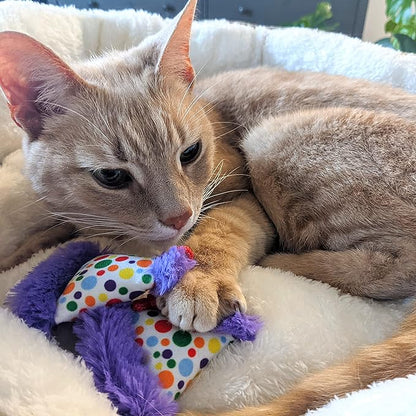 Huxley & Kent Plush Cat Toy | Party Hats | Birthday Strong Catnip Filled Cat Toy | Plush Interactive Kitten and Cats Toy with Catnip and Crinkle | Kittybelles