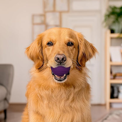 Playology Dog Toys | Dual Layer Ball Durable Chew Toy for Aggressive Chewers | Jumbo Bacon Scented Toy - Easy to Clean and Made from Non Toxic Materials