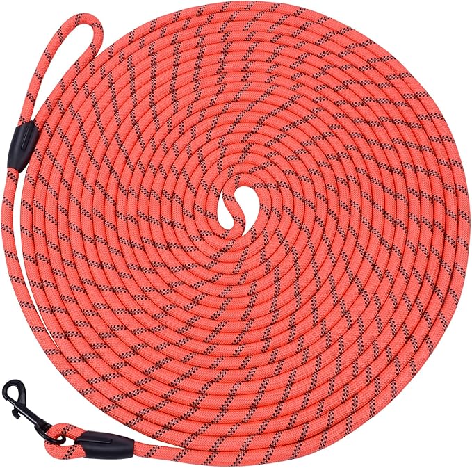 Long Dog Leash for Training 20Ft-Reflective Nylon Rope with Swivel Hook-Recall Agility Lead for Large Small Medium Dogs Outside Walking Hiking-Orange
