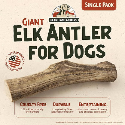 Heartland Elk Antlers for Dogs - Daily Dental Care Chews for Aggressive Chewers to Reduce Plaque & Prevent Destructive Behavior (Whole, Splinter Free, 9+", Giant, 1-Pack, Grade A, USA Made)