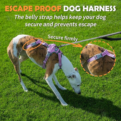 Huntboo Escape Proof Dog Harness – No Pull, No Slip, Fully Reflective, Adjustable 7-Point Design for Small, Medium, and Large Dogs – Lightweight for Outdoor Training & Hiking (Lavender Purple, M)