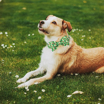 St Patricks Day Dog Collar with Bow Tie - Cotton Beer Clover Green Bowtie Dog Collar Adjustable Heavy Duty Holiday Dog Collars for Small Medium Large Dogs XS