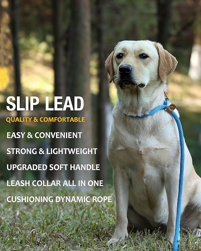 lynxking 6 FT Dog Leash Slip Lead 2 Pack Strong Heavy Duty Braided Dog Training Leash No Pull Training Lead Leashes for Medium Large and Small Dogs
