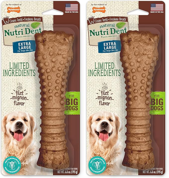 Nylabone Nutri Dent Dog Dental Chews - Natural Dog Teeth Cleaning & Breath Freshener - Dental Treats for Dogs - Filet Mignon Flavor, X-Large (1 Count) (Pack of 2)