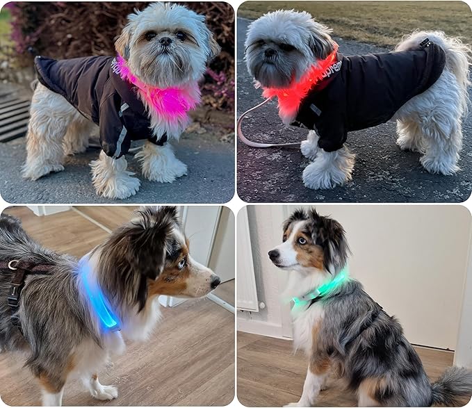 PAJ GPS – PAJ Light – Glowing LED Collar for Dogs – Cut-to-Fit (20–70 cm) – 100% Waterproof – 7 Color Modes – Night Safety & Visibility