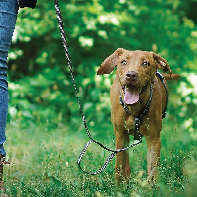 Blue-9 Reflective Buckle-Neck Balance Harness, Fully Customizable Fit No-Pull Harness with 3M Reflective Stitching, Ideal for Dog Training and Obedience, Made in The USA, Grey, Medium/Large
