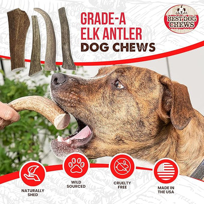 Best Dog Chews Elk Antlers for Dogs Large - Premium Natural Antler Dog Chew for Aggressive Chewers - Long-Lasting Deer Antler Chews - Ideal for Medium to Big Breed Dogs - Elk Bones and Antlers Durable