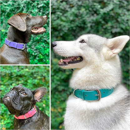 Tuff Pupper Classic Heavy Duty Dog Collar | 10x Stronger Than Leather | 100% Waterproof & Odor Proof Dog Collar | Tough Rust-Proof All Metal Hardware