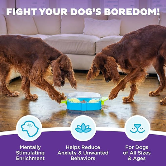 Outward Hound Nina Ottosson Paw N' Play Interactive Dog Treat Puzzle, Level 2 Intermediate Dog Enrichment Dog Toy, Blue, Small