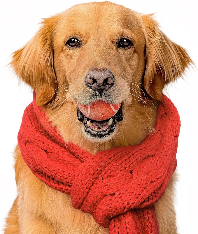 Playology Dog Toys | Squeaky Chew Ball - Bouncy Durable Floating Fetch Ball for Dogs | Medium Grandma's Gravy Scented Toy - Easy to Clean and Made from Non Toxic Materials