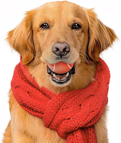 Playology Dog Toys | Squeaky Chew Ball - Bouncy Durable Floating Fetch Ball for Dogs | Medium Grandma's Gravy Scented Toy - Easy to Clean and Made from Non Toxic Materials