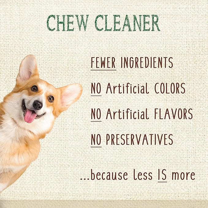 Nylabone Nutri Dent Dog Dental Treats - Natural Dog Teeth Cleaning & Breath Freshener - Dental Treats for Dogs - Fresh Breath Flavor, Medium (40 Count)
