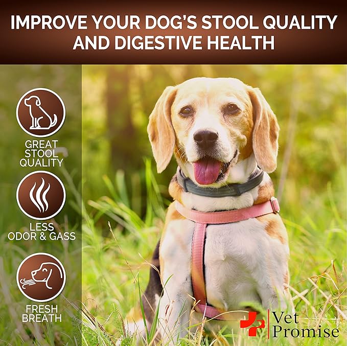 Vet Promise Super Poop Probiotics for Dogs - Dog Stool Softener - Fiber for Dogs Supplement - 6 Probiotics and Digestive Enzymes - Healthy Gut - Perfect for Firm Stool & Diarrhea Relief - 120 Chews