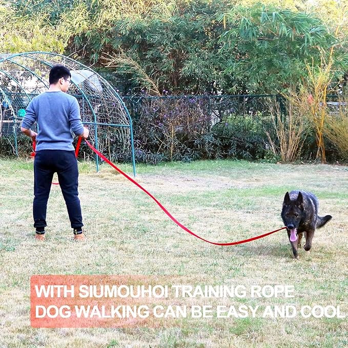 Dog/Puppy Obedience Recall Training Agility Lead - 15ft 20ft 30ft 40ft 50ft Training Leash - Great for Play, Camping, or Backyard (Mint Blue, 40 Feet)