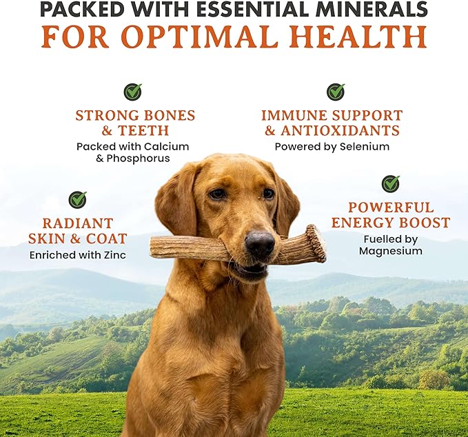 Alpha Dog Nutrition Elk Antler Chews (Large, Split)