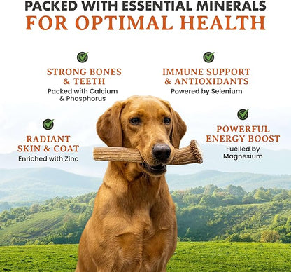 Alpha Dog Nutrition Elk Antler Chews (Large, Whole)