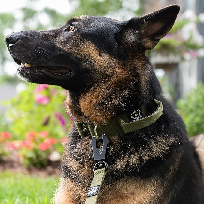 Tactical Dog Leash, 5 FT Heavy Duty Military-Grade Nylon, Quick Release Frog Clip (700 lb) with 360° Swivel, Padded Handle, for Medium and Large Dogs, Black – Operation Good Boy, Veteran Owned