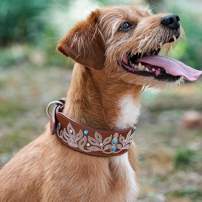 Blueberry Pet Western Dog Collar in Canyon Brown - 15-18 Inch Necks Floral-Embroidered Leather with Turquoise Studs, Dog Collars for Medium Dogs, Adjustable Leather Girl Dog Collar