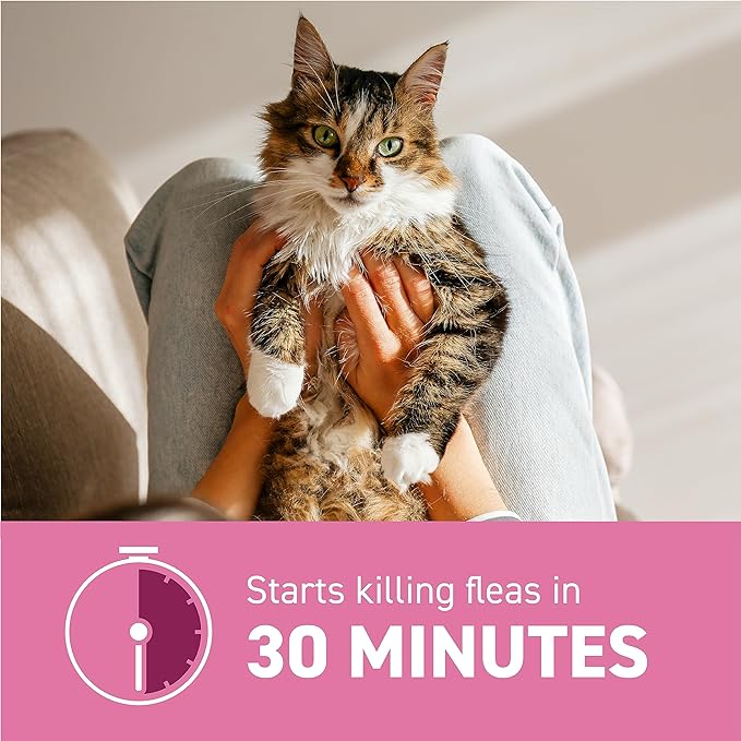 Capstar (nitenpyram) Cat Flea Treatment, Fast-Acting Oral Flea Treatment for Cats 2-25 lbs, Vet-Recommended Medication Tablets Start Killing in 30 Minutes, 6 Doses