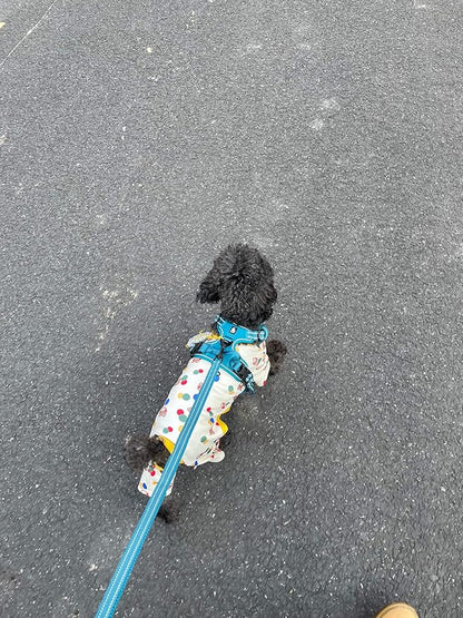TRUE LOVE Reflective Dog Leash Puppy Walking Lead, Padded Pet Chain Rope，Length 110cm TLL2111(Blue,S)