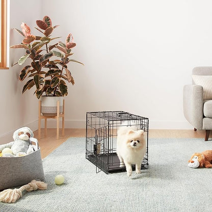Amazon Basics - Durable,Foldable Metal Wire Dog Crate with Tray, Double Door, Divider, 22 x 13 x 16 in, Black