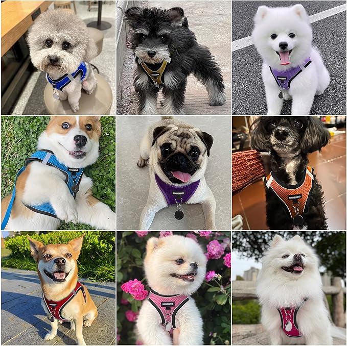 Dog Harness and Leash Set, Dog Harness for Dogs No Pull, No-Chock Step-in Reflective Breathable Lightweight Easy Walk Vest Harnesses with Safety Buckle for Small Medium Dogs, Cats (Black, L)
