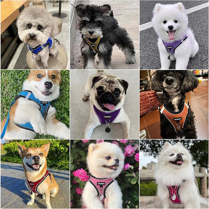 Dog Harness and Leash Set, Dog Harness for Dogs No Pull, No-Chock Step-in Reflective Breathable Lightweight Easy Walk Vest Harnesses with Safety Buckle for Small Medium Dogs, Cats (Black, L)