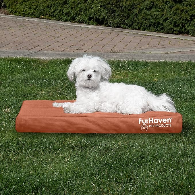 Furhaven Water-Resistant Orthopedic Dog Bed for Medium/Small Dogs w/ Removable Washable Cover, For Dogs Up to 35 lbs - Indoor/Outdoor Logo Print Oxford Polycanvas Mattress - Chestnut, Medium
