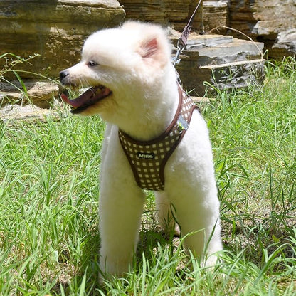 AIITLE Easy Walk Dog Vest Harness and Leash Set, Pet Supply No Pull, Breathable Mesh, Reflective Stripes, Adjustable Escape Proof Pet Outdoor Harnesses for Medium Dogs Chocolate L