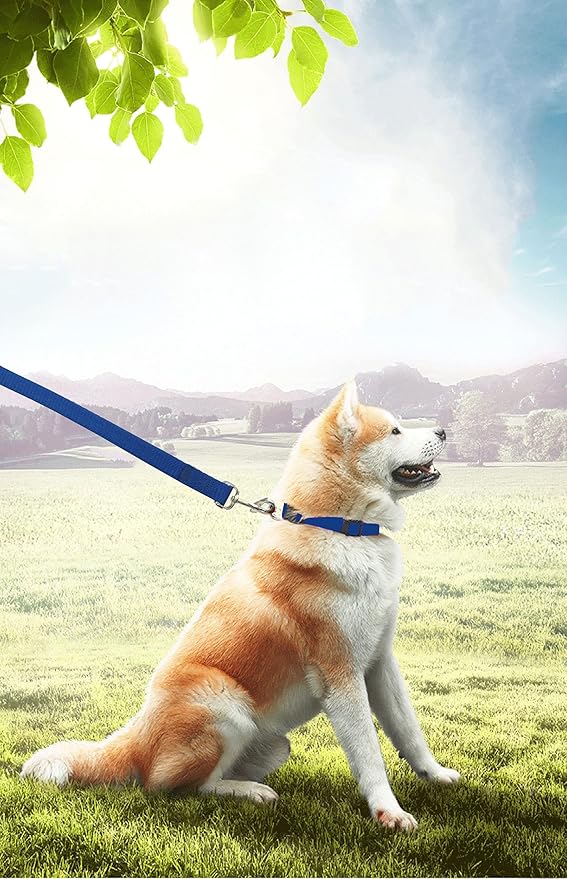 PETGOGO 15ft 20ft 30ft 40ft 50ft Long Dog/Puppy Lead Obedience Recall Training Dog Leashes for Small Medium Dogs Camping, Training, Play, or Backyard (Blue, 1" x 40FT)