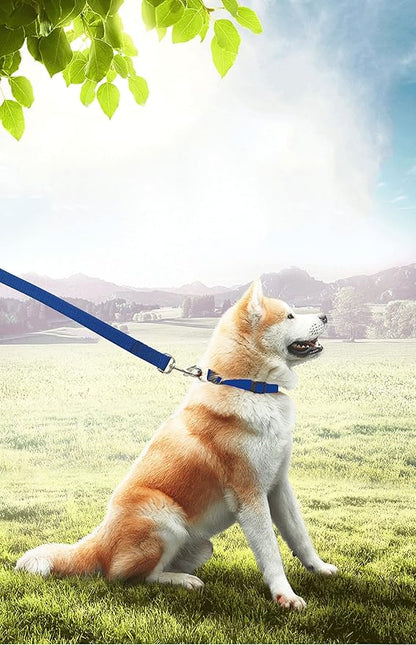 PETGOGO 15ft 20ft 30ft 40ft 50ft Long Dog/Puppy Lead Obedience Recall Training Dog Leashes for Small Medium Dogs Camping, Training, Play, or Backyard (Blue, 1" x 15FT)