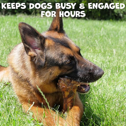 Pack Approved Beef Shin Bones for Dogs - Liver Coated Long Lasting Dog Chews for Aggressive Chewers - Rawhide-Free Big Bones for Large Dogs - Healthy Large Dog Bone (1 Pack)