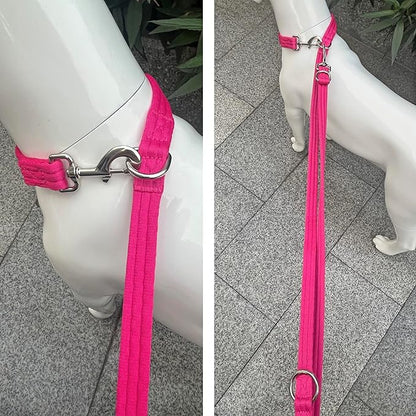 Dog Leash-Multifunctional Double Ended,for Obedience Training Or Distance Work Easy to Use,Lightweight,Soft&Durable Convertible Hands Free,Crossbody,Over Shoulder (Fuchsia, 2M*2.5CM)